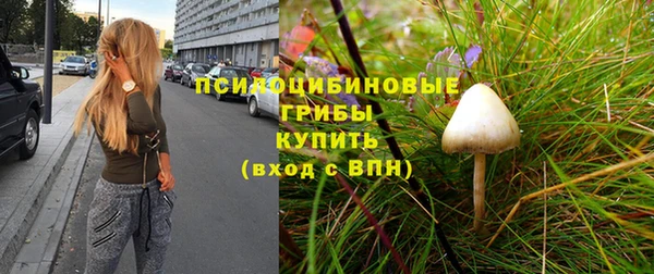 винт Билибино