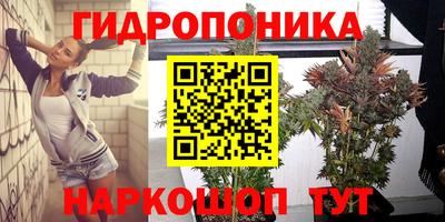 наркотики Аргун