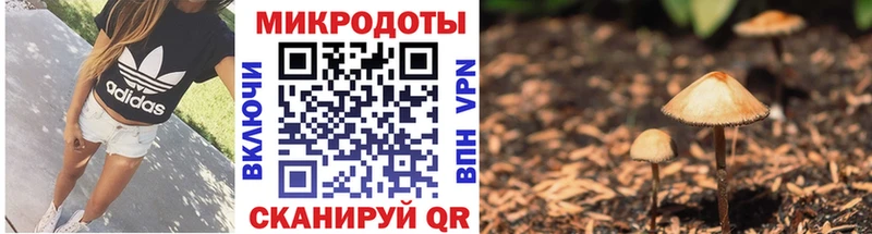 Галлюциногенные грибы Magic Shrooms Великий Устюг