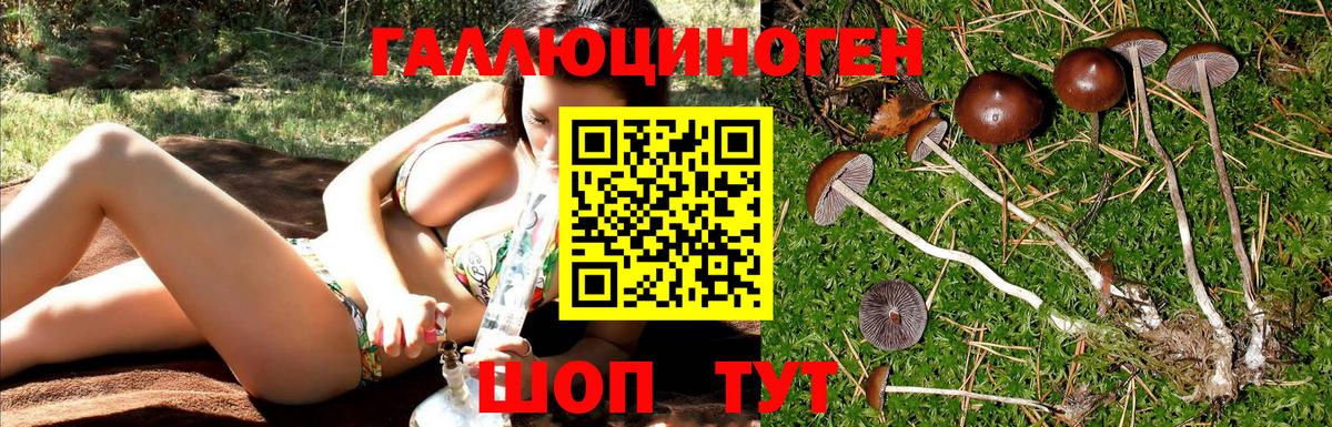 Псилоцибиновые грибы Magic Shrooms  Великий Устюг 