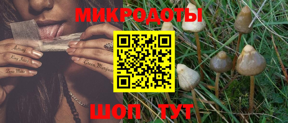 Псилоцибиновые грибы ЛСД Великий Устюг