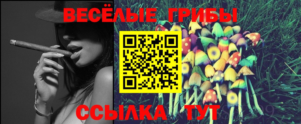 МАРИХУАНА  ГЕРОИН  A-PVP СК   Экстази  ГАШИШ  Каннабис  МЕФ   Великий Устюг  МДМА 